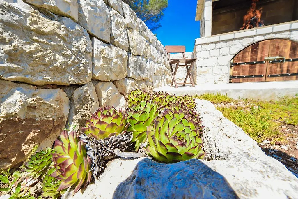 Guest House Sakarun Veli Rat 3*,  Croatia